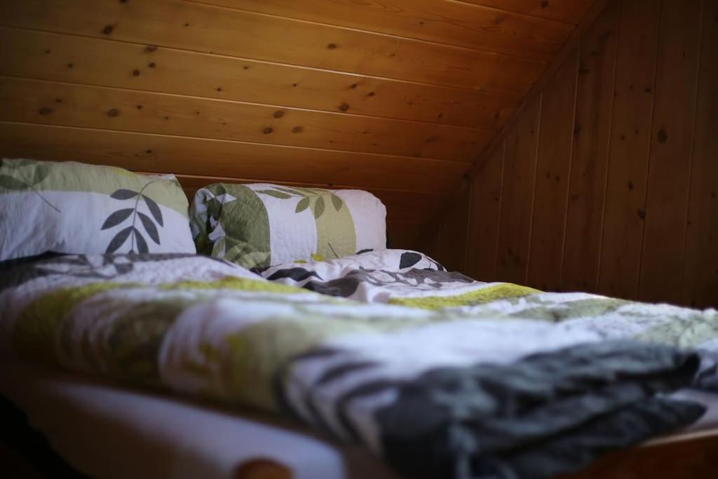 Ferienhaus Karkonoska *